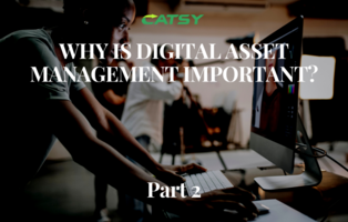Why is Digital Asset Management (DAM) important? Part 2
