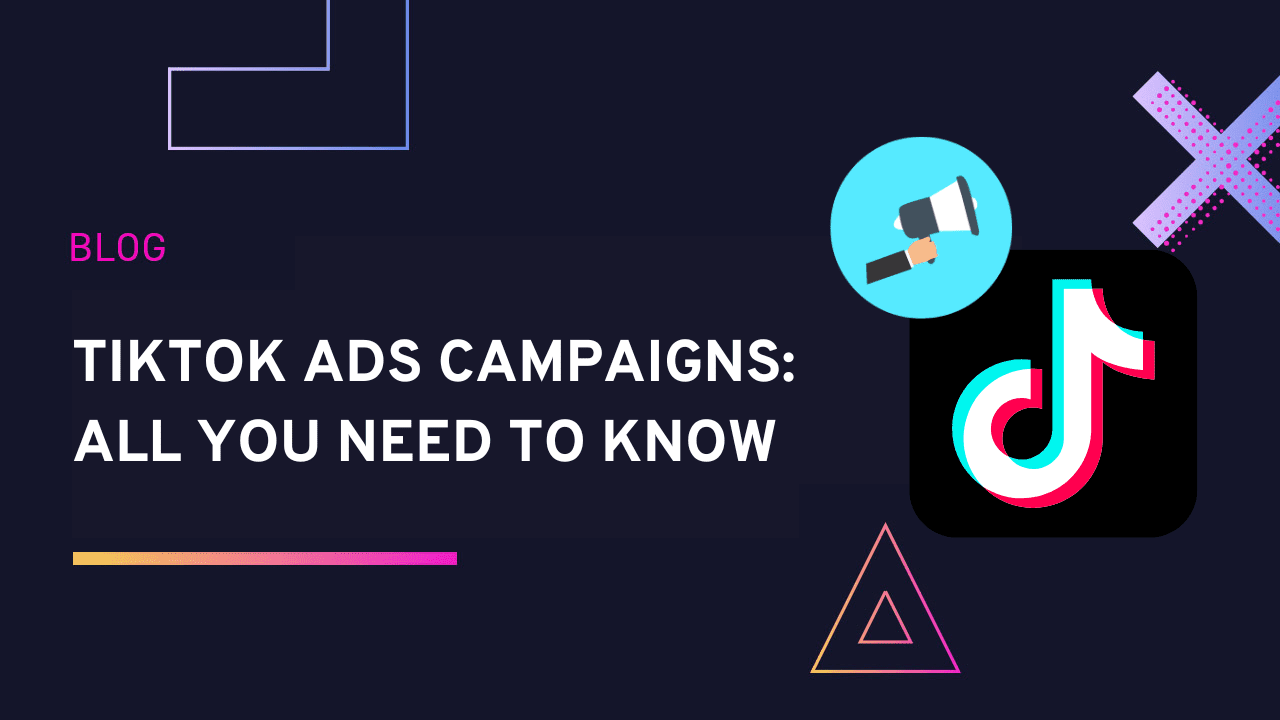 TikTok ads Campaigns: All you need to know