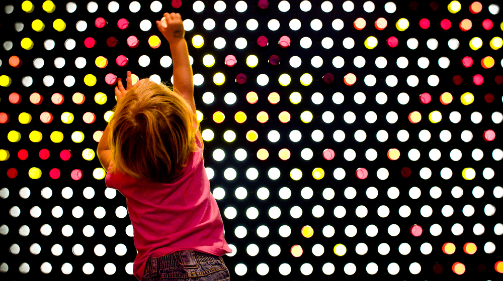 Find and conquer your niche market like a champion