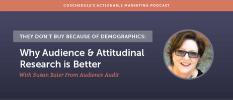 They Don't Buy Because Of Demographics: Why Audience And Attitudinal Research Is Better With Susan Baier From Audience Audit [AMP 164]
