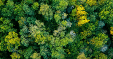 A complete guide to authentic sustainable branding