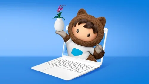 UrbanStems: Three Best Practices for D2C Success