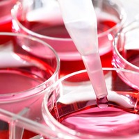 AB Enzymes | SugarCRM UK