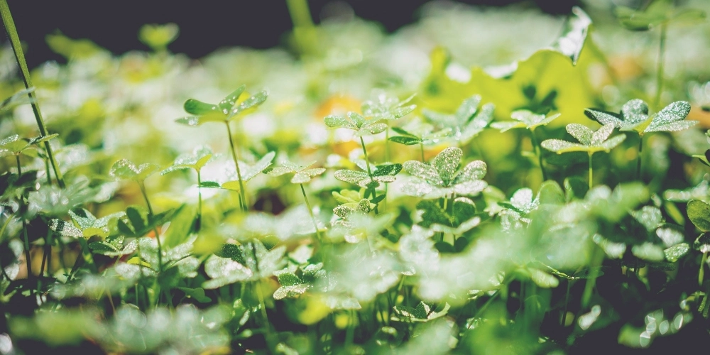 Thinkific Update (March 2018): Personal Brands, Membership Features & More!