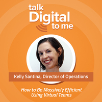 How to Be Massively Efficient Using Virtual Teams