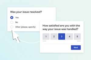 Time to resolution survey