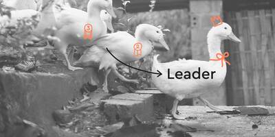 Optimove Named a Leader in the 2022 IDC MarketScape for Retail CDP