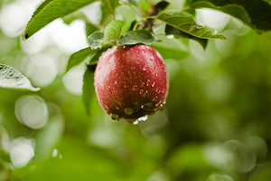 How to Pick the Perfect CTA for Every Blog Post