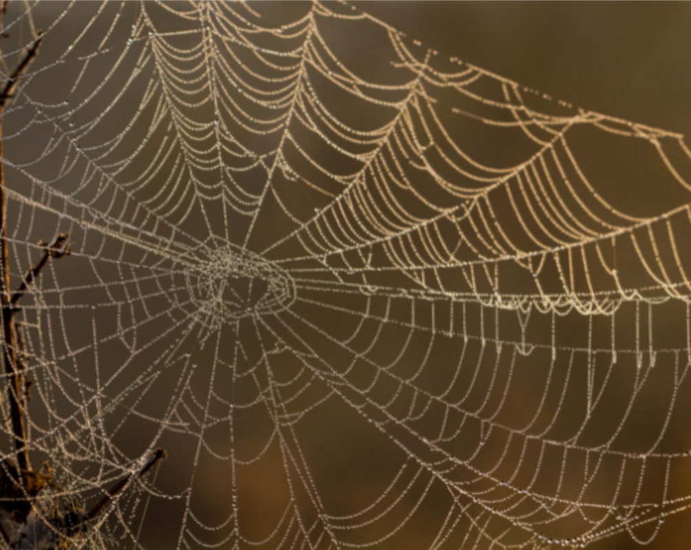 Deliverability Tricks and Treats | Twilio SendGrid