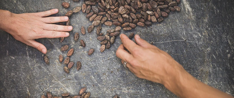 Bean to Bar to Business: The Story Behind Soul Chocolate