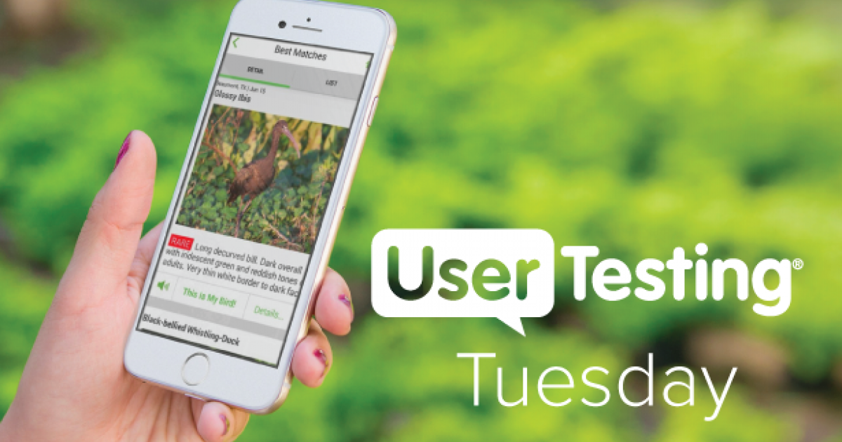 The Magic of Merlin: User Testing a Birding App in the Wild