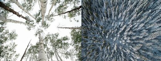 The other side | Inside Intercom