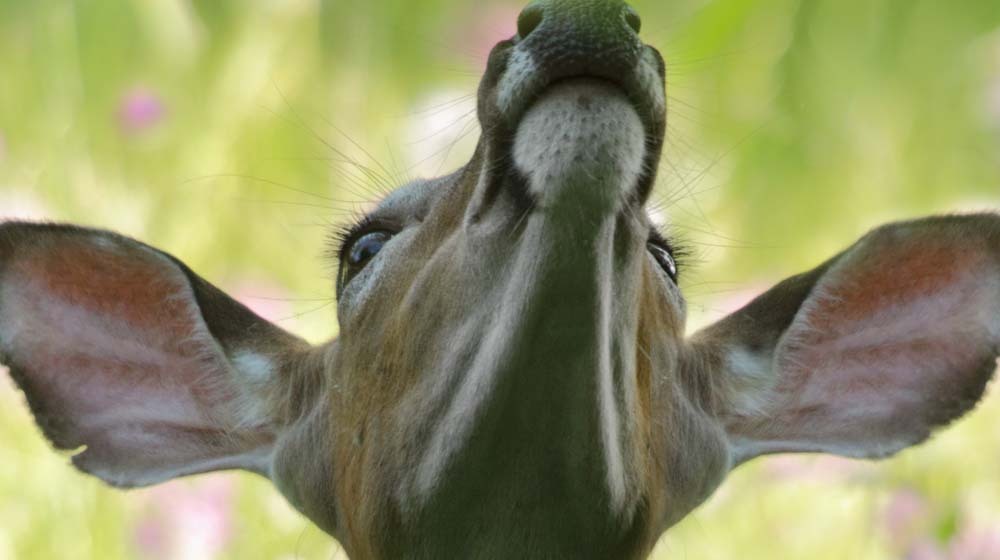 How to add a client feedback form to your site