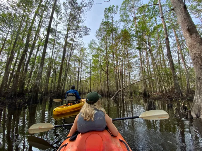 The 12 Best AI Copywriting Tools in 2022