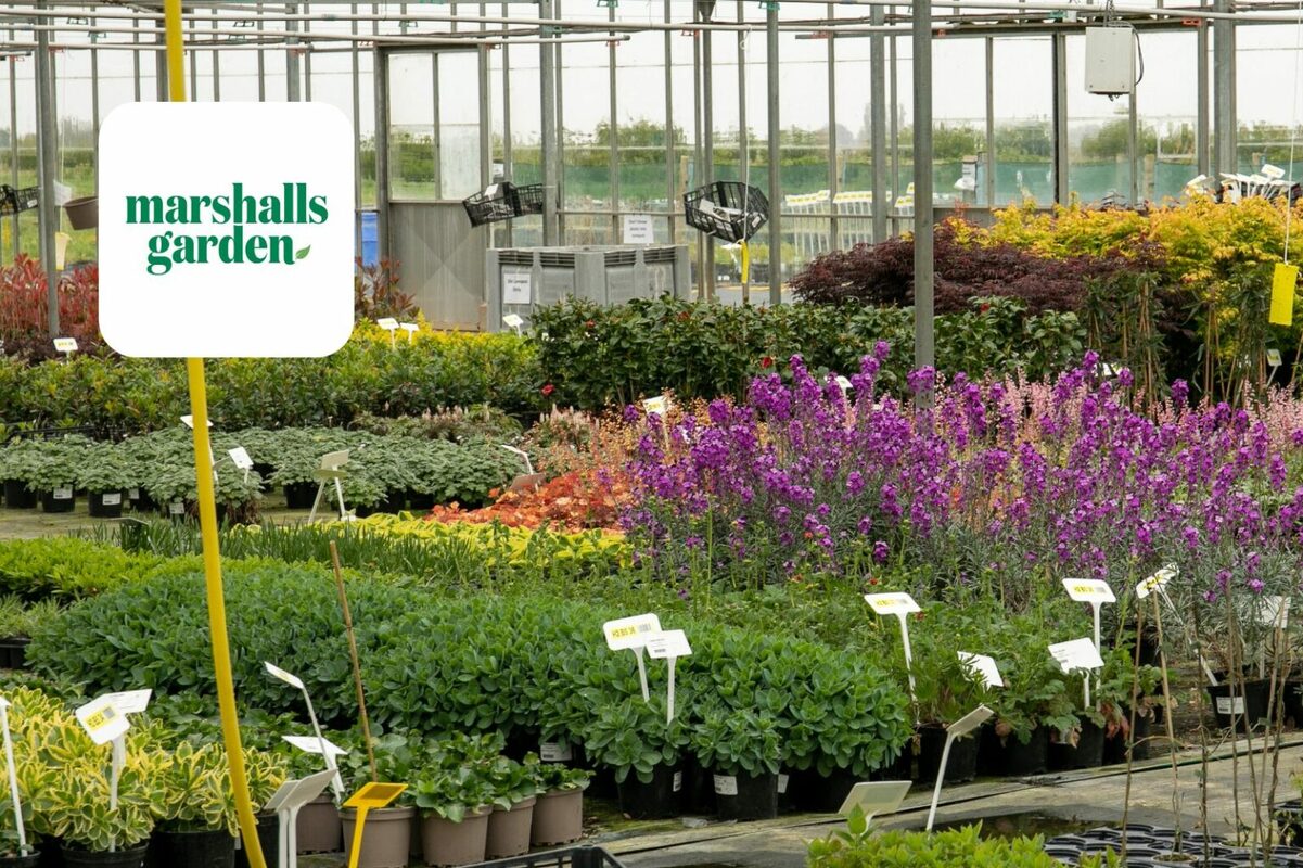 Marshalls Garden grows revenue from email marketing by 61% to £1.7 million with Dotdigital
