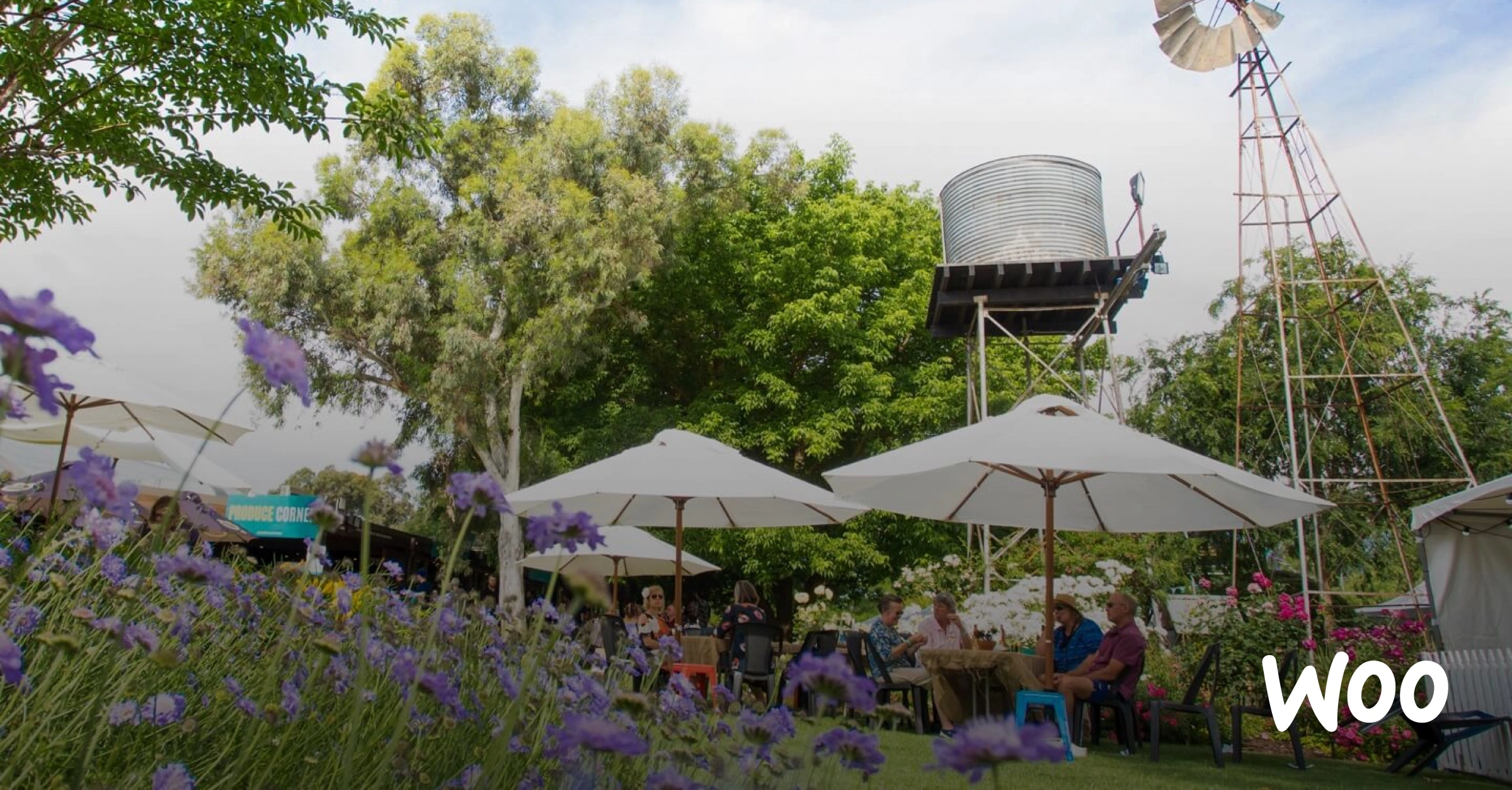 How Brown Brothers Grew Their Online Presence With WooCommerce