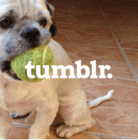 A Crash Course in Tumblr for B2B Marketers