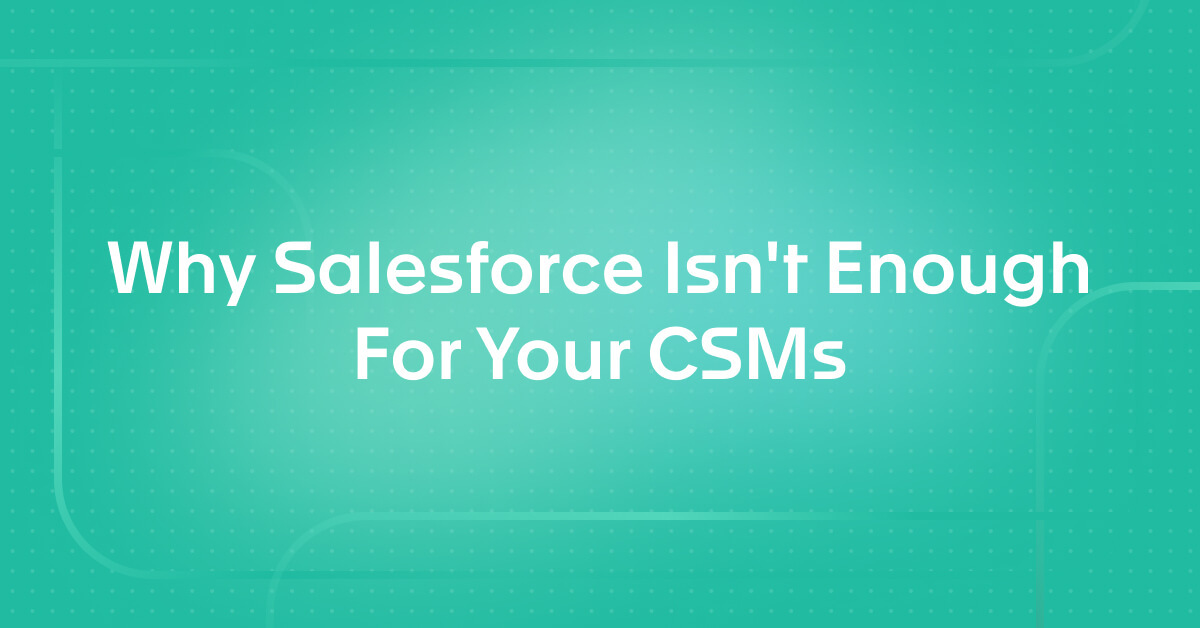 Why Salesforce Isn't Enough For Your CSMs