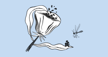 Tools for Landing Page Conversion Success