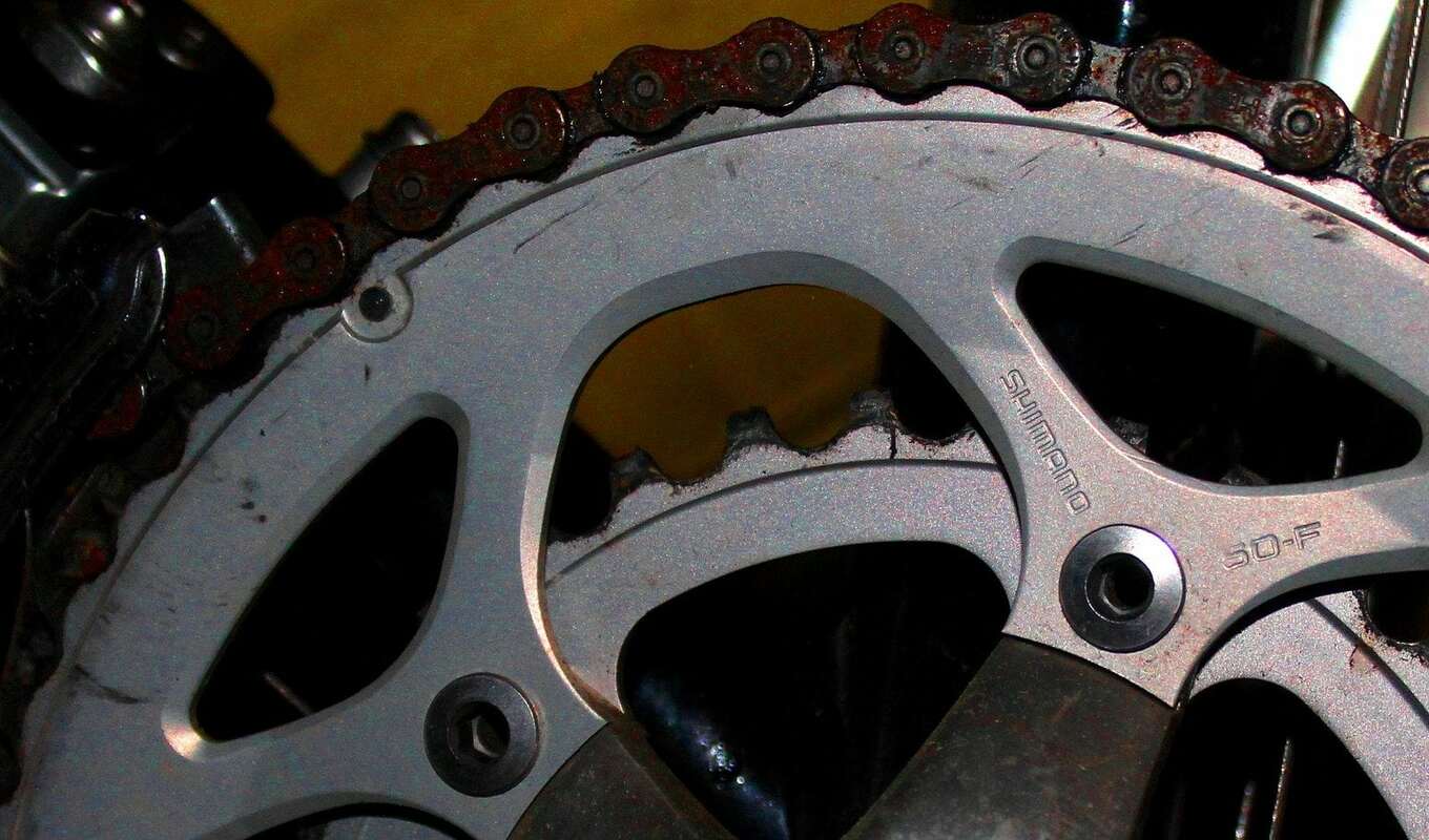 How to Automate Social Sharing