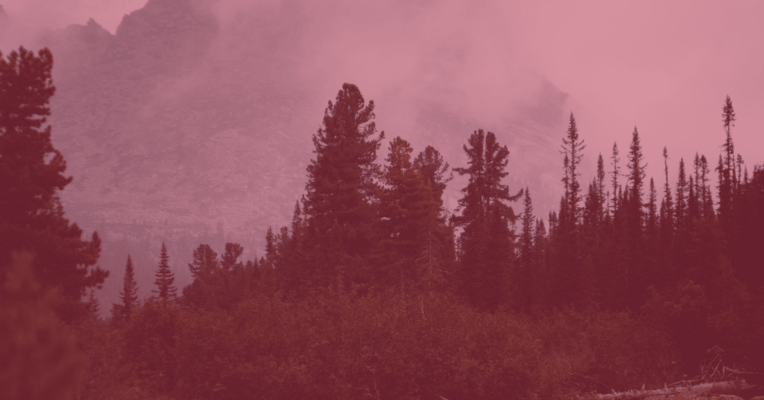 New Year, New Tactics: 