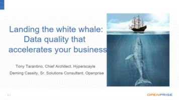 Landing the white whale: data quality that accelerates your business