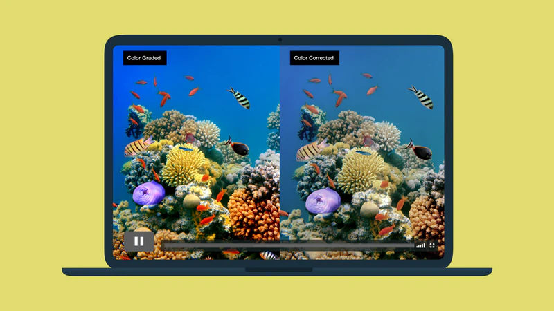 Video Color Grading 101 | Color Grading vs. Color Correcting