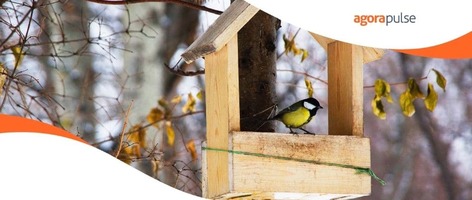 How to Use Twitter Live Video to Expand Your Reach