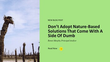 Don't Adopt Nature-Based Solutions That Come With A Side Of Dumb