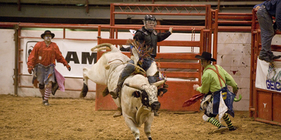 3 Event Marketing ROI Lessons Bull Riding Can Teach You