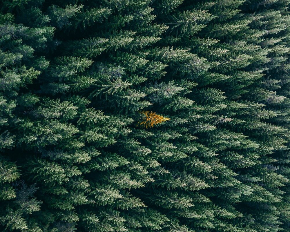 How to differentiate when you aren't different