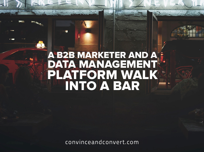 A B2B Marketer and a Data Management Platform Walk Into a Bar