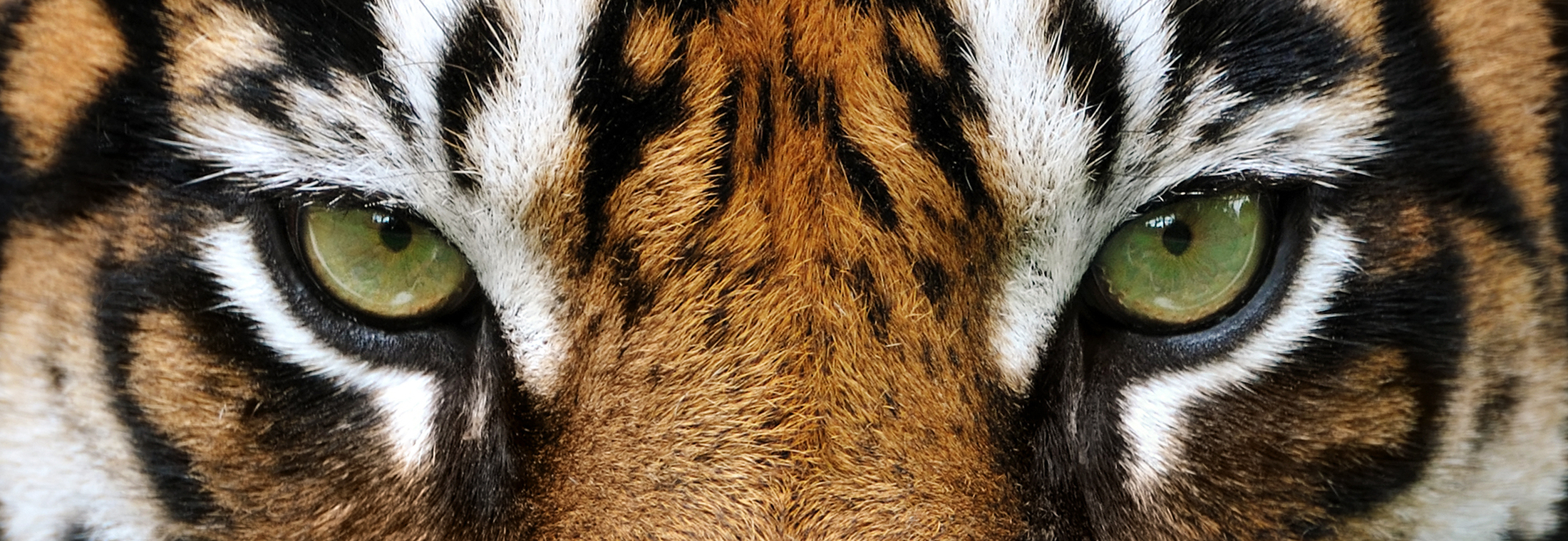 One-to-One Marketing: 6 Strategies to Transform Customer Relationships in 2025