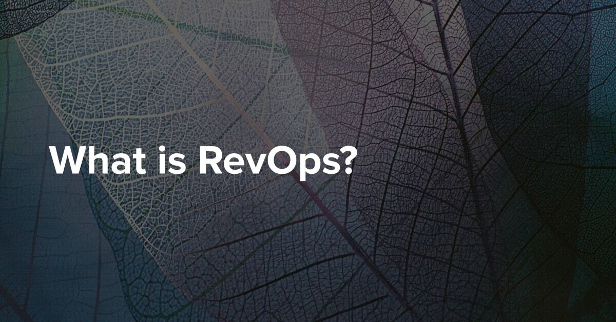 What is RevOps?