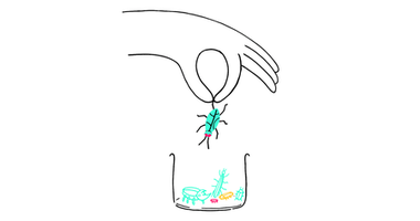 Find Website Bugs on Your New Page or Site: a 3-Step Framework