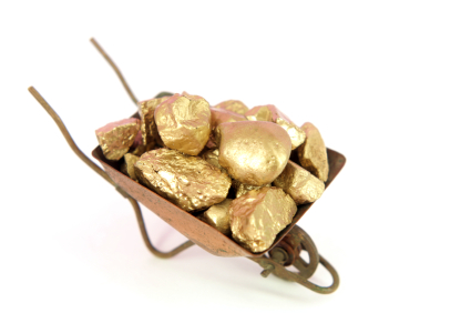 How to Expose the Best Leads to Your Sales Team