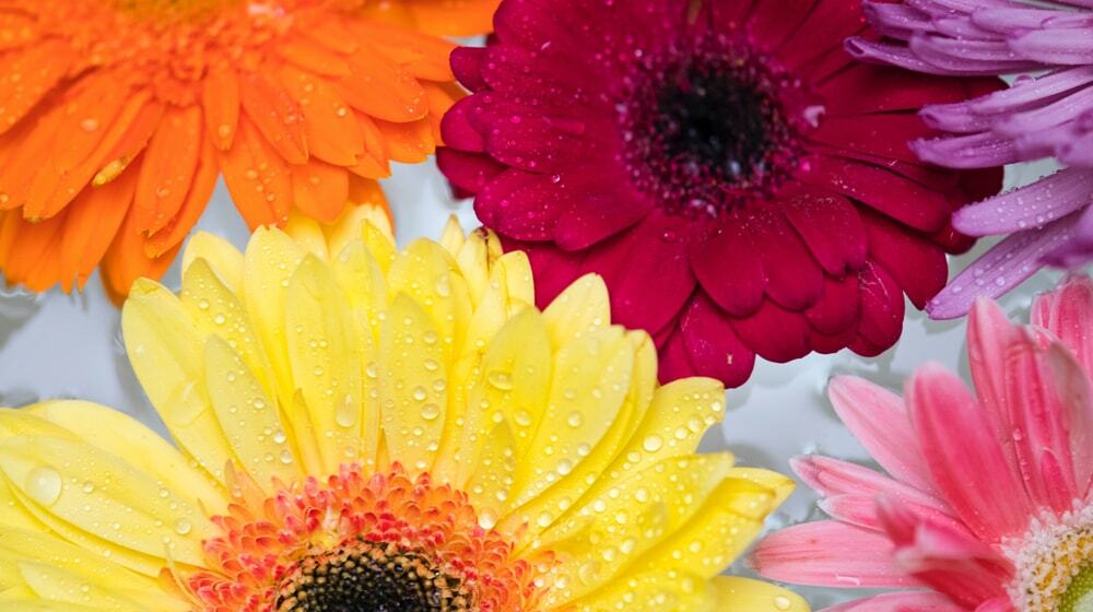 How to prepare your online store for Mother's Day sales