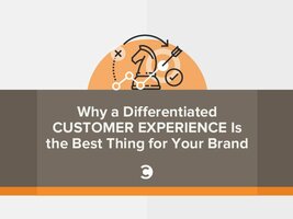 Why a Differentiated Customer Experience Is the Best Thing for Your Brand