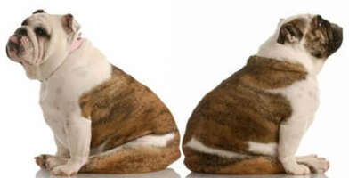 Tips for implementing social media strategies into your organization