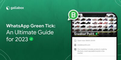 WhatsApp Green Tick: An Ultimate Guide for 2023 