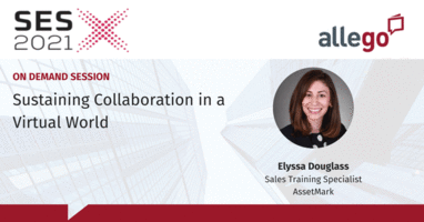 SES Experience: Sustaining Collaboration in a Virtual World