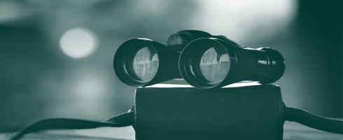 Understanding Site Search - Your Guide to Site Search Functionality