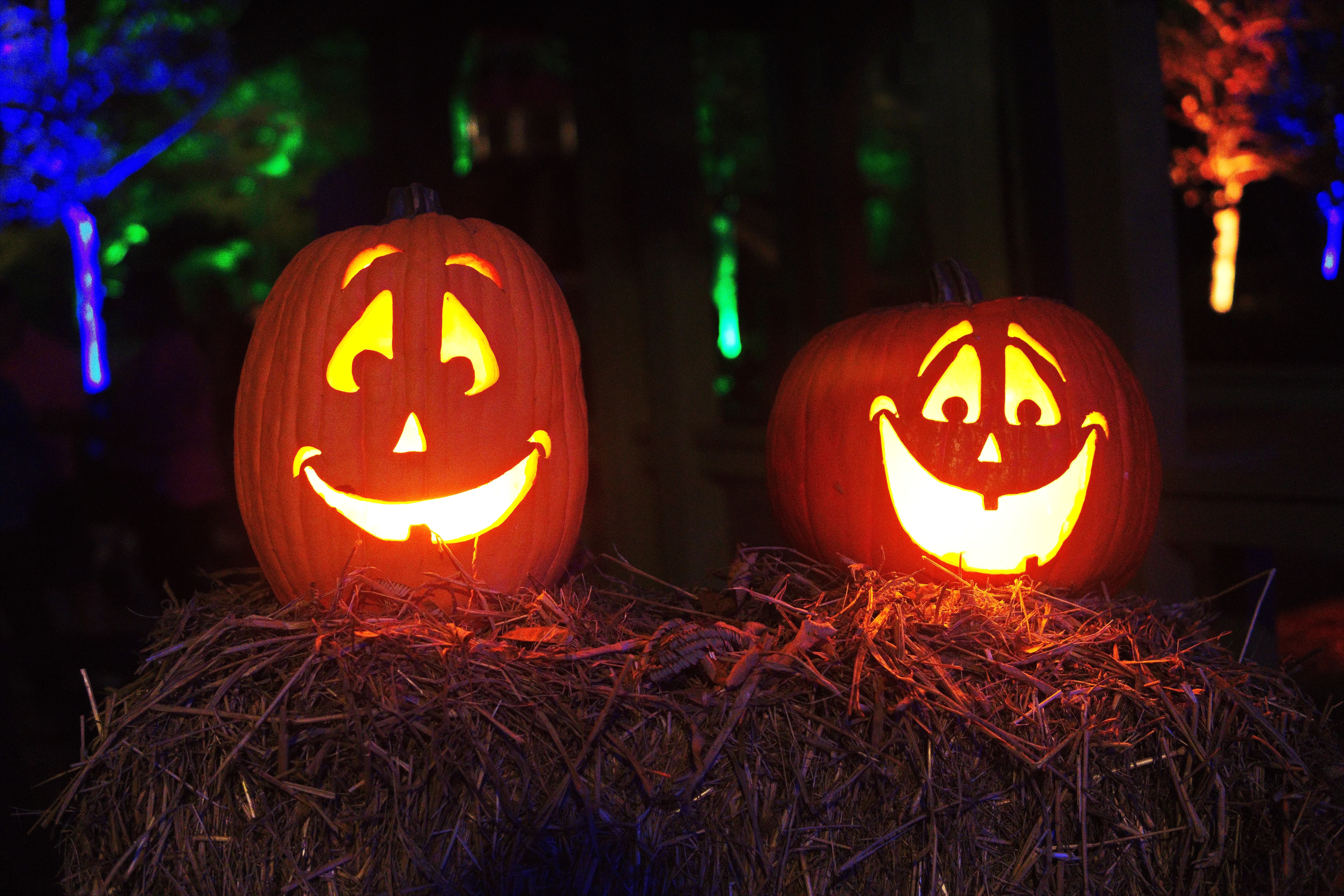 Five Halloween email campaign examples to hallo-win your audience