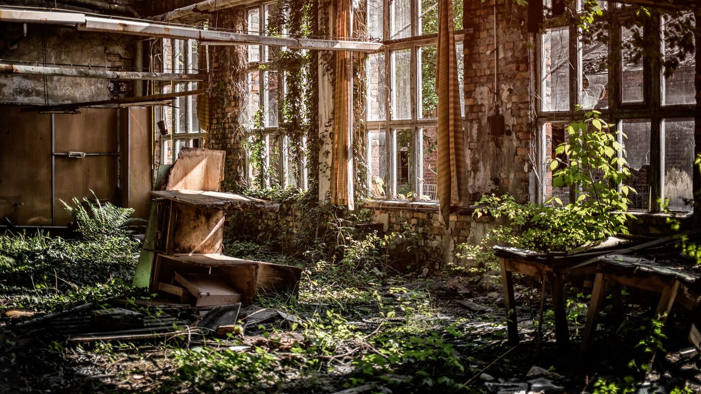 Tear a page out of "The Last of Us" marketing strategy | BANKNOTES