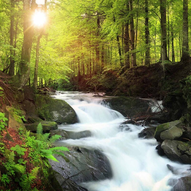 4 benefits of a single source of truth