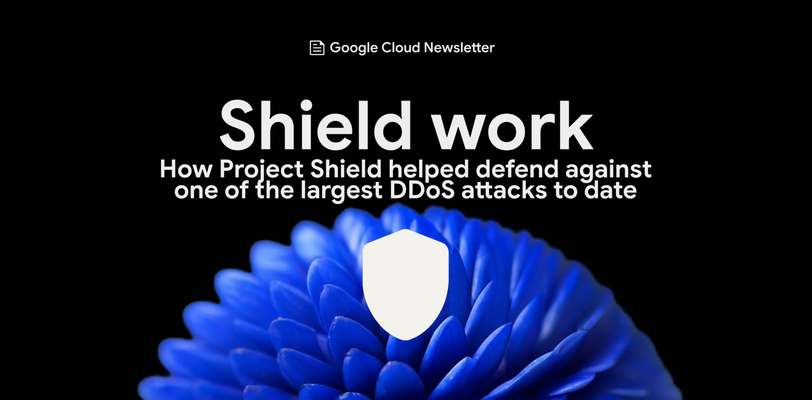 Project Shield blocked a massive recent DDoS attack. Here's how. | Google Cloud Blog