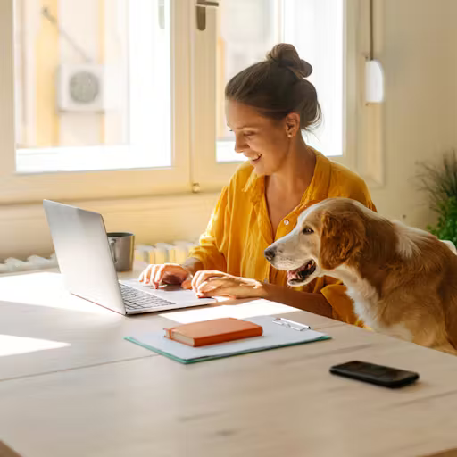 Verint Helps Leading Dental and Veterinary Products Supplier Innovate, Automate, and Elevate Customer Experience