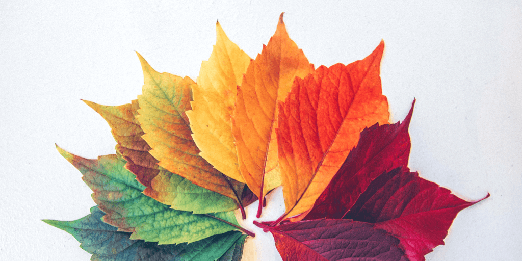 Are You Making the Most of the BIGGEST Seasons on Pinterest?