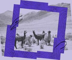 SOC 2 compliance for start-ups