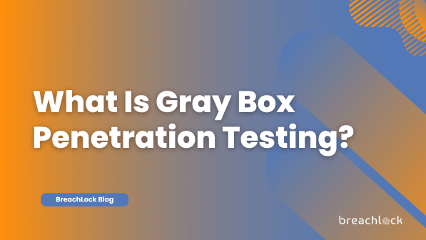 What Is Gray Box Penetration Testing?